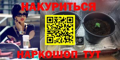 скорость Новозыбков