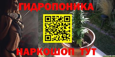 скорость Новозыбков