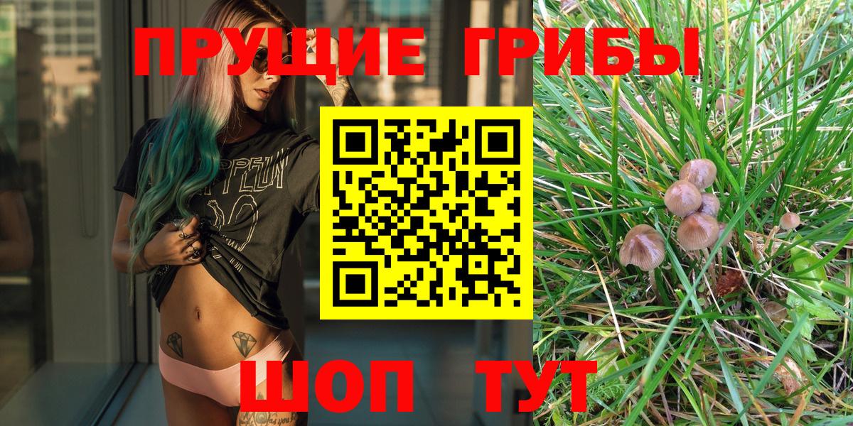 Псилоцибиновые грибы GOLDEN TEACHER Пушкино